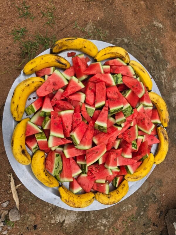 606008979_1289107529900734_7620280318137673023_n