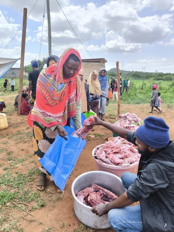 625753320_1318166806994806_9110839406090929812_n